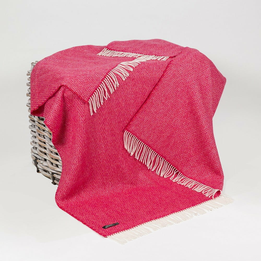 John Hanly Cashmere Blend Throw , Raspberry Pink