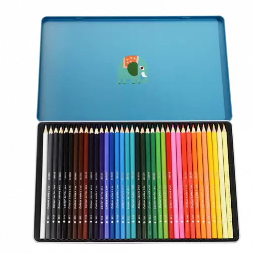 Rex London Wild Wonders Colouring Pencils