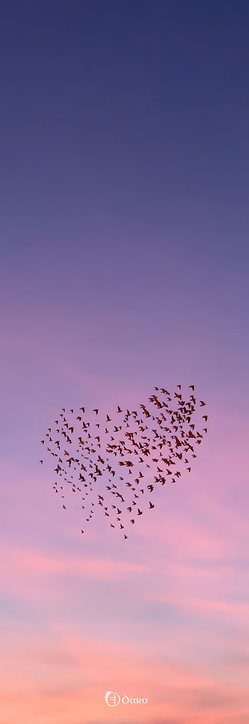 Dara Mats Wonder in the Sky Yoga Mat