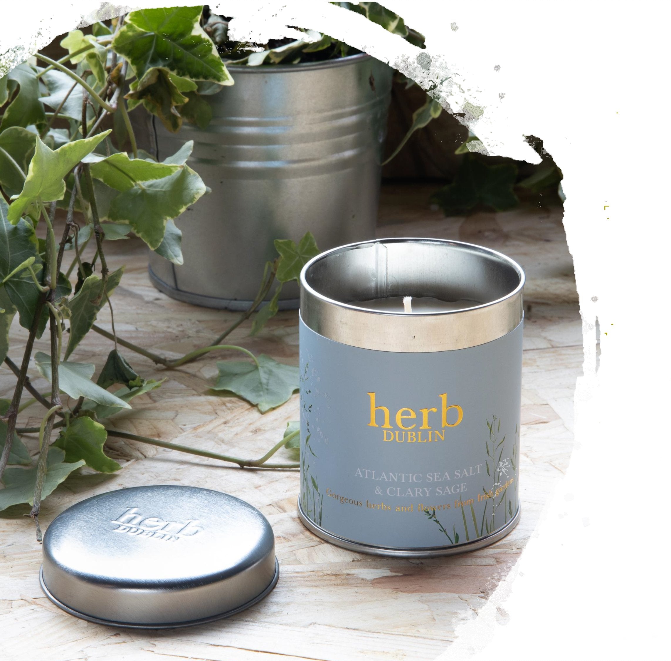 Herb Dublin Atlantic Seasalt Tin Candle
