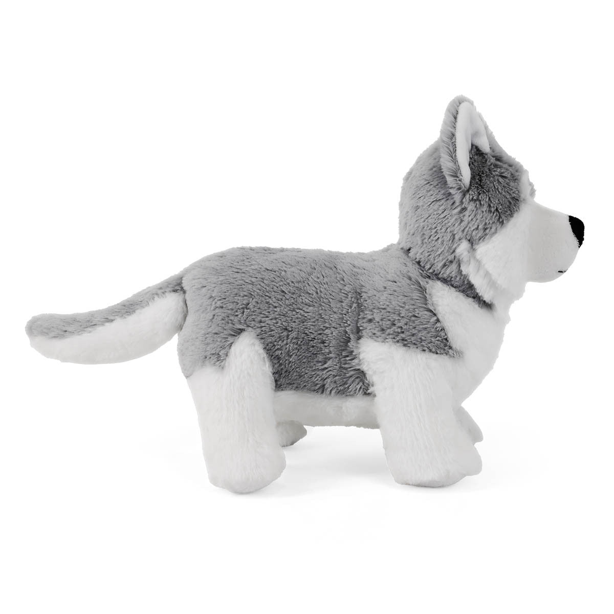 Gosh! Husky Softie