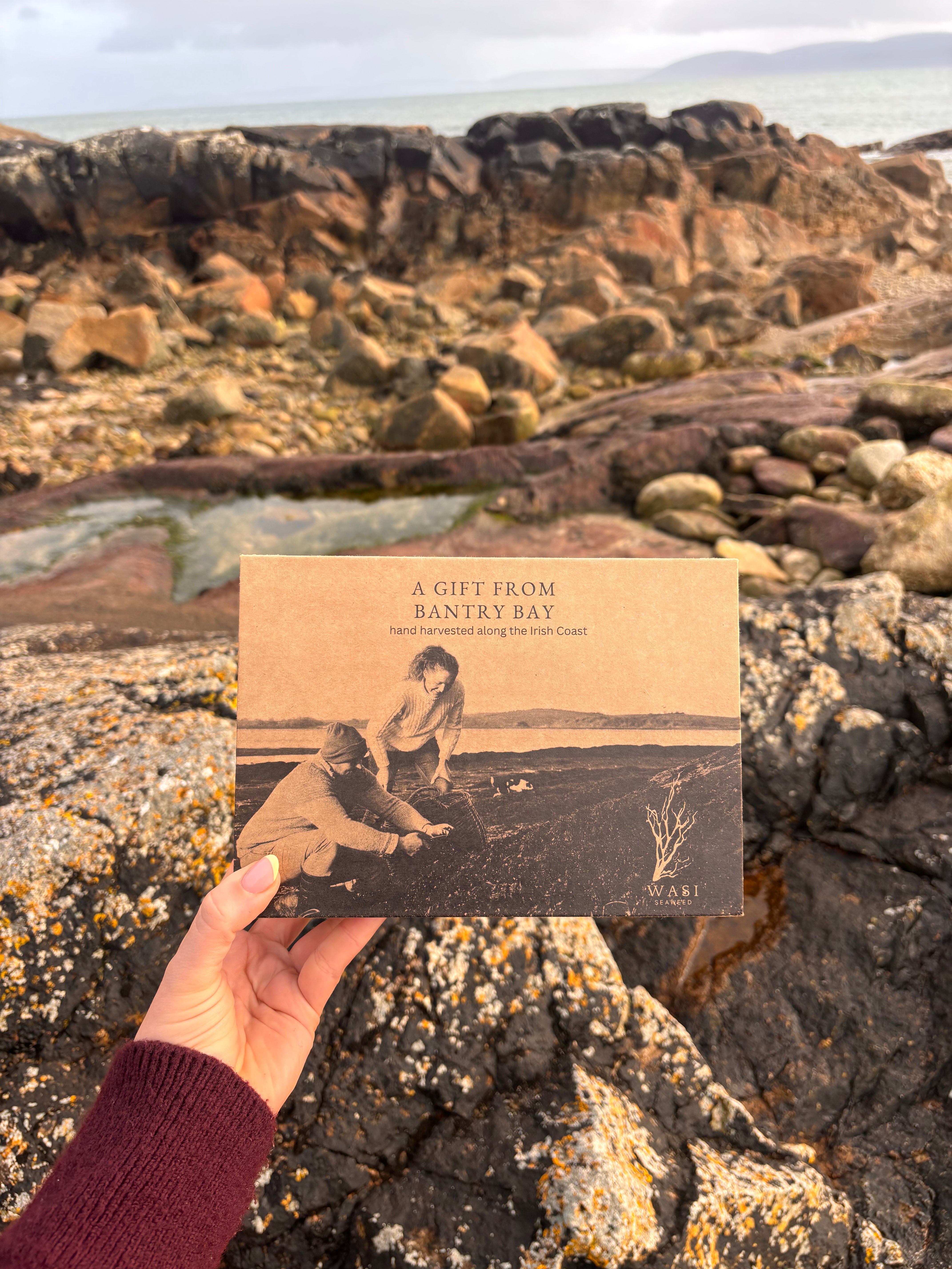 WASI Bantry Bay Giftset