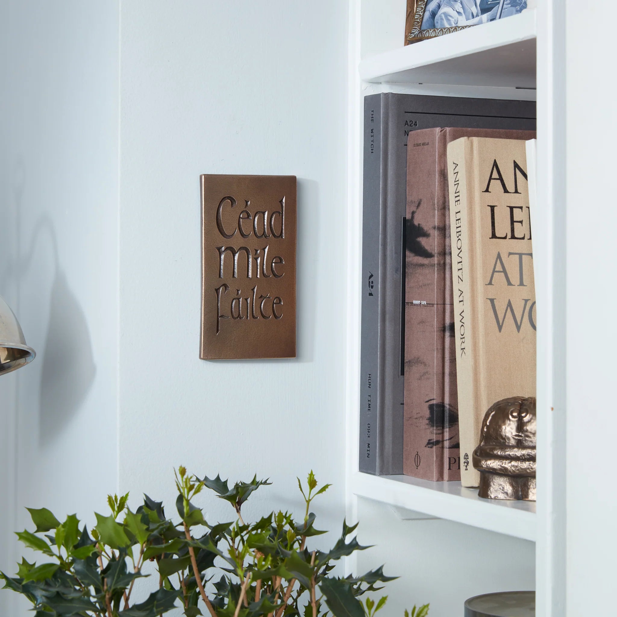 Wild Goose Céad Míle Fáilte