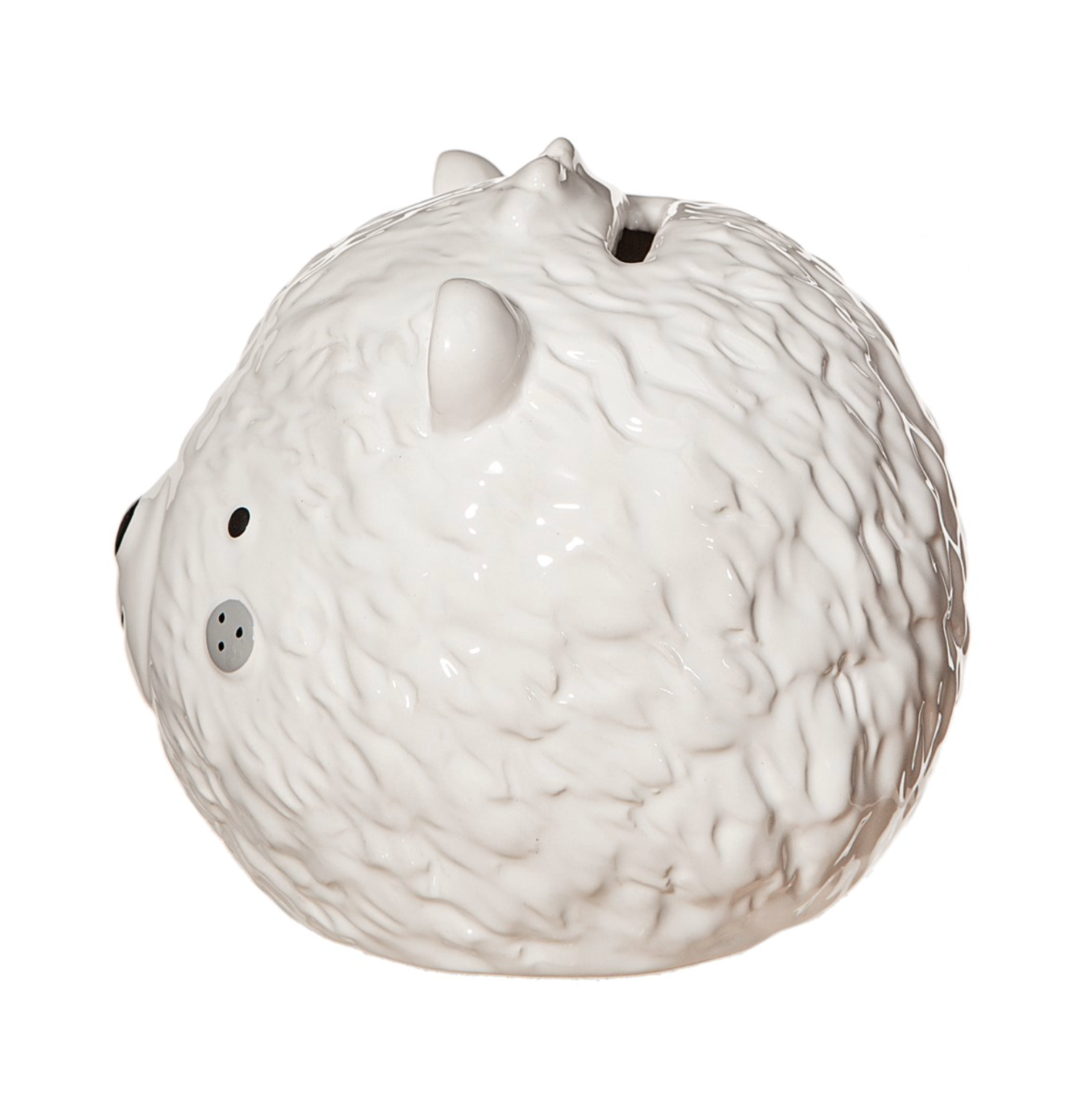 Sass And Belle Bear Money Box