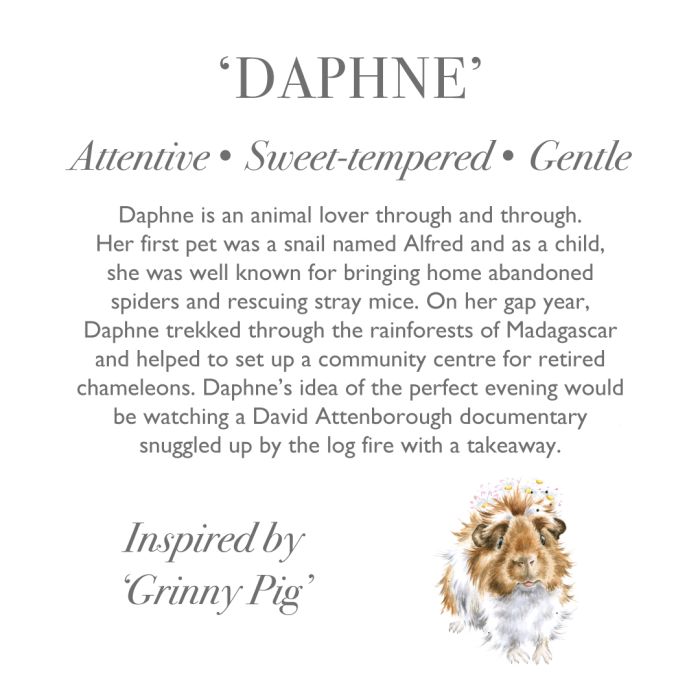 Wrendale 'Daphne' Guinea Pig Character