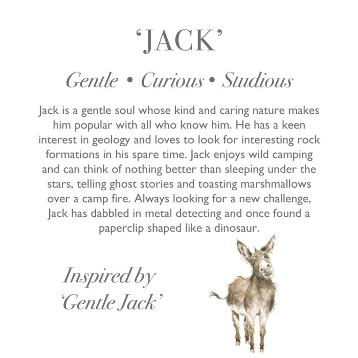 Wrendale 'Jack' Donkey Character