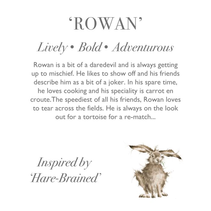 Wrendale 'Rowan' Hare Character
