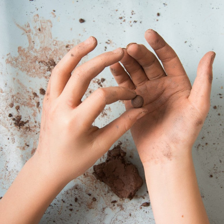 Make Your Own Seedballs