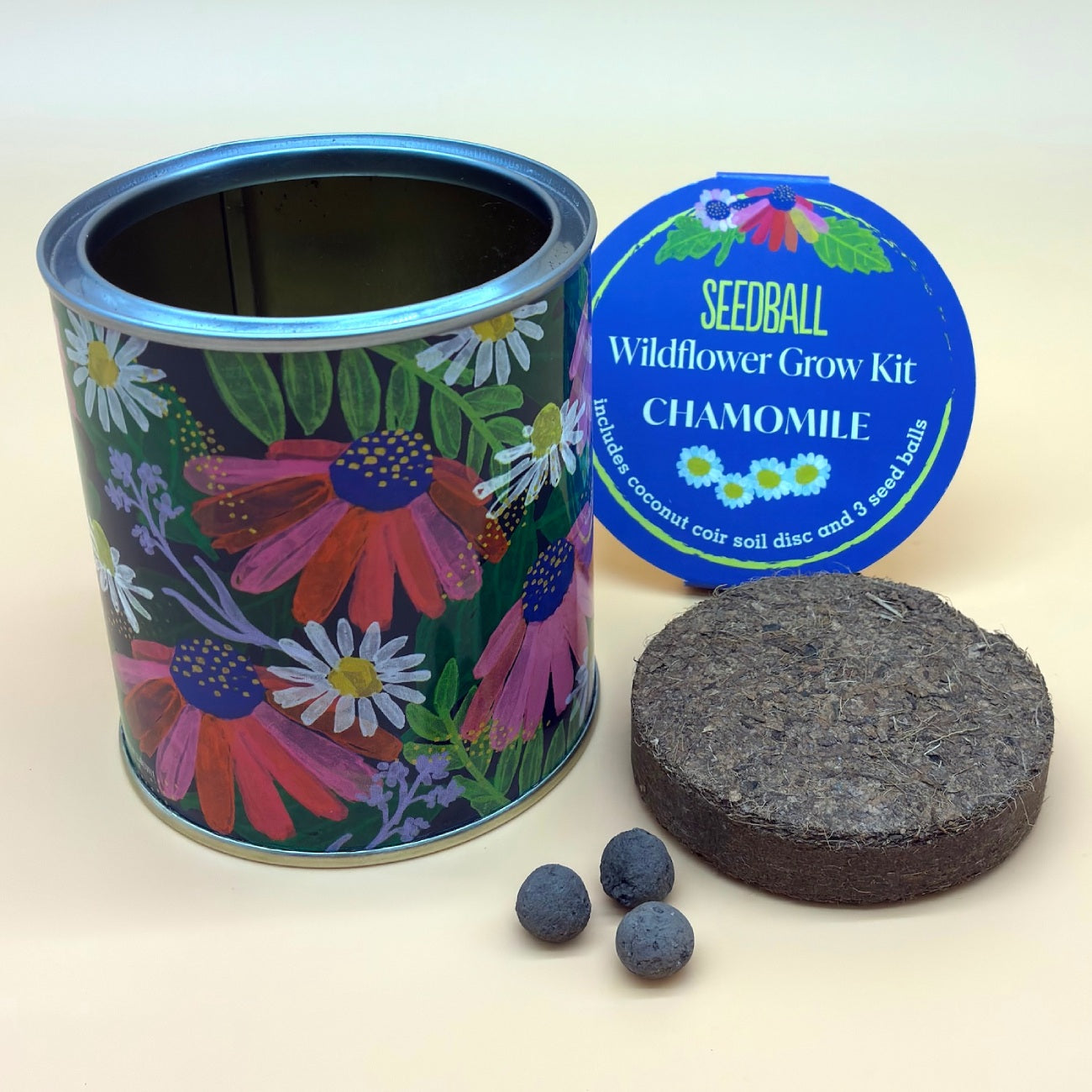 Seedball Wildflower Grow Kit
