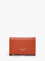 David Jones Purse