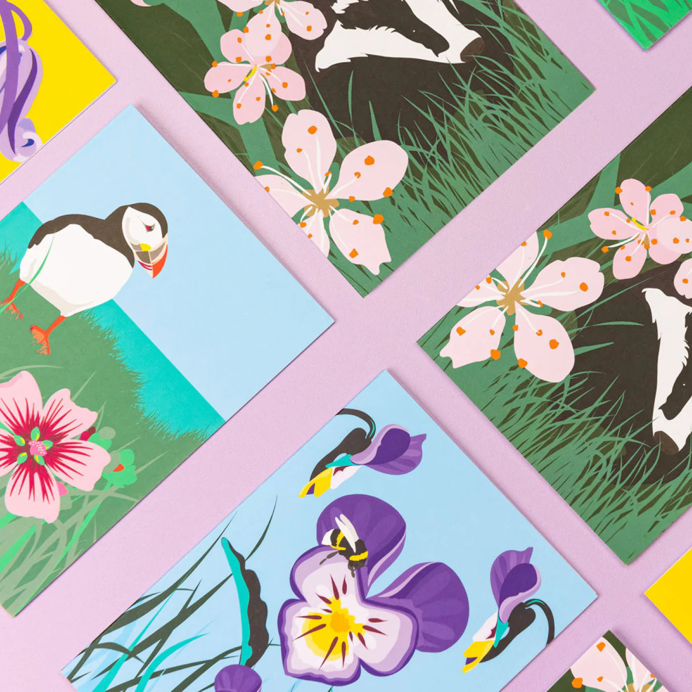Pawpear Fiáin Greeting Card Box