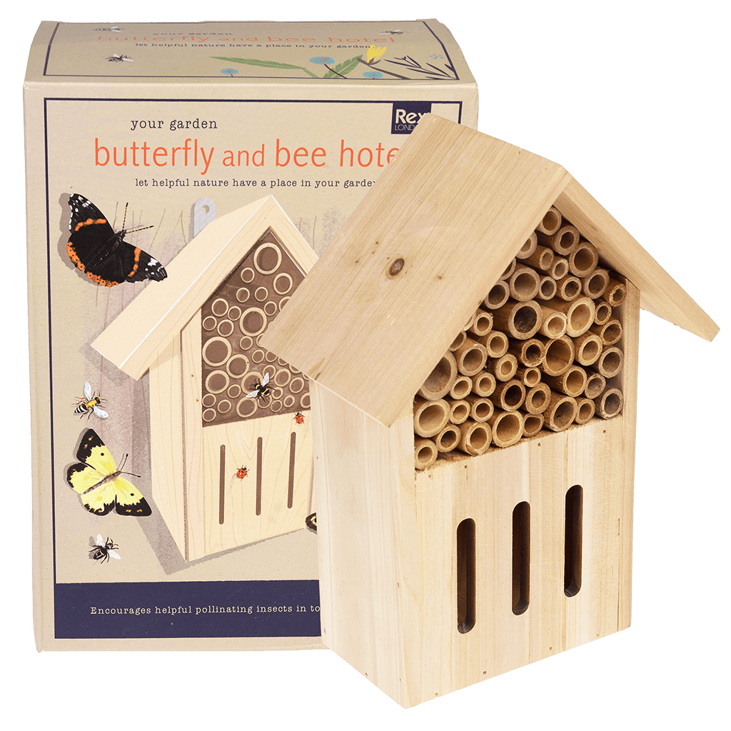 Rex London | Butterfly & Bee Hotel