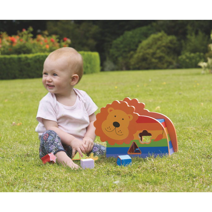 Irish Creative Stamping | Shape Sorter Lion Toy