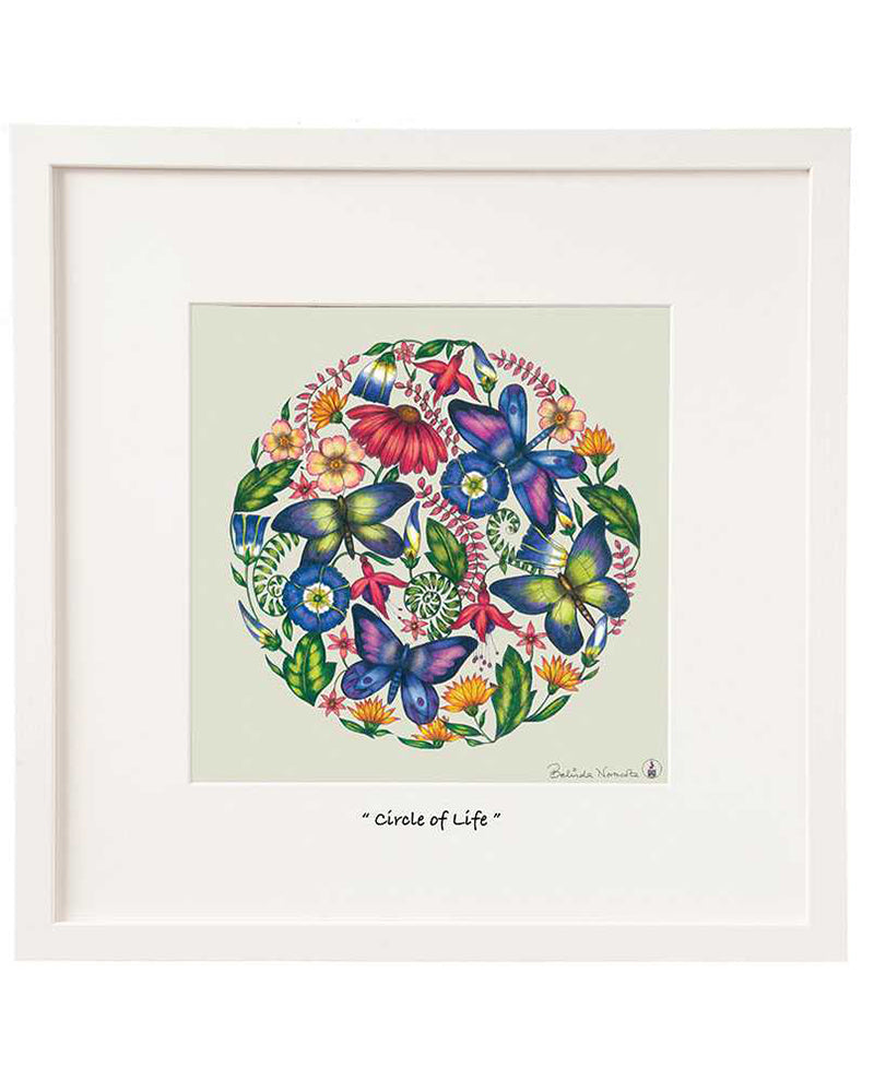 Belinda Northcote | Circle of Life 12x12 Framed Art