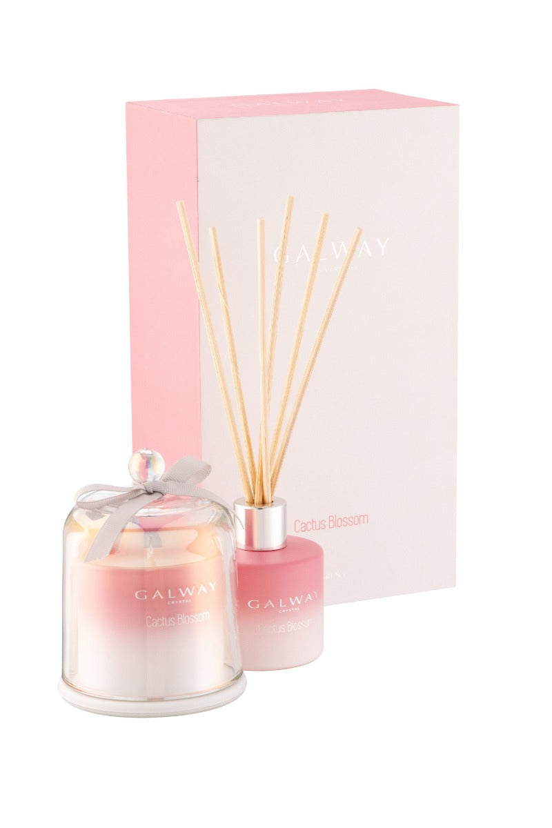 Galway Crystal | Cactus Blossom Gift Set
