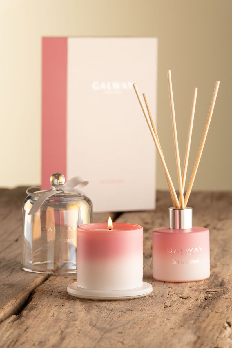 Galway Crystal | Cactus Blossom Gift Set