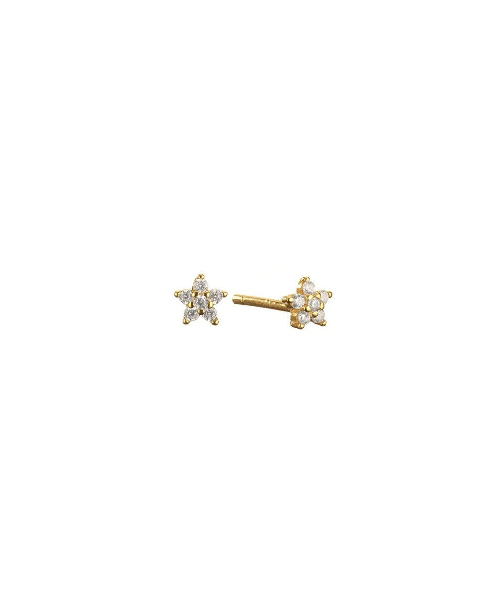 Mary-K Gold Crystal Star Studs