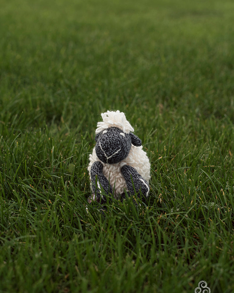 aran-handknit-sheep-teddy-natural-charcoal