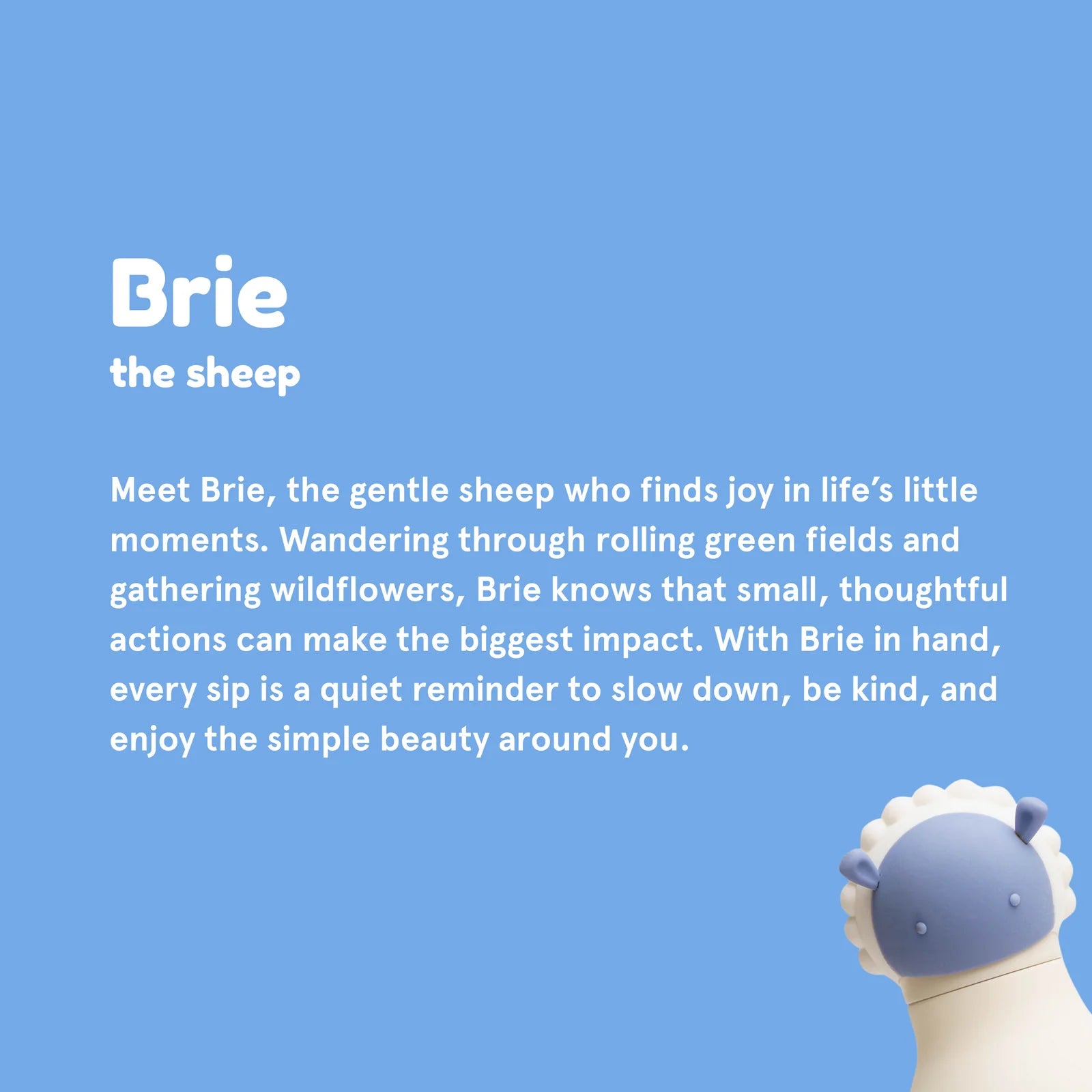 Bestie Sheep Water Bottle