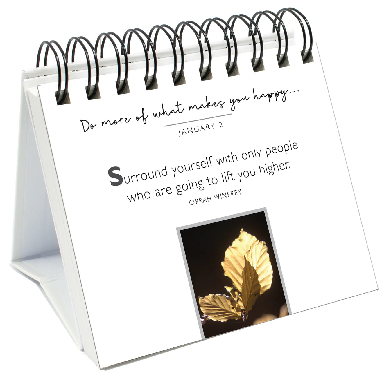 The Secrets of Happiness