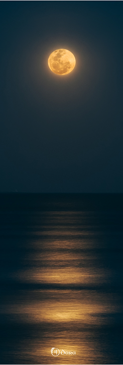 Dara Mats Moonlight Yoga Mat