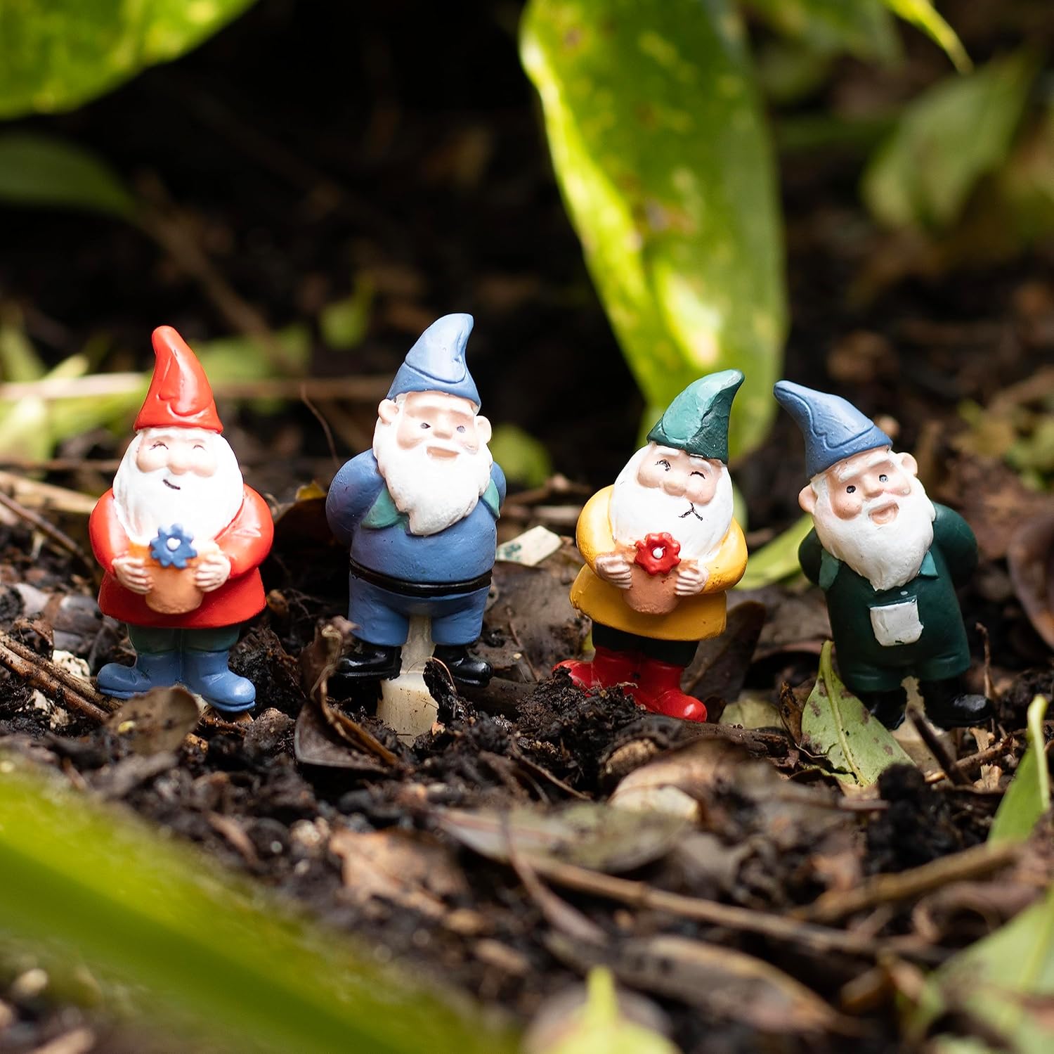 Set of 4 Mini Gnomes