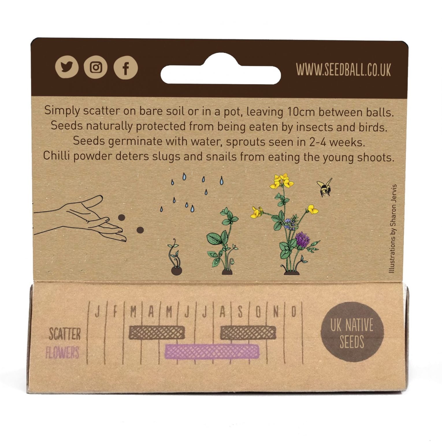 Seadball Mini Meadow Bamboo Pots - Butterfly Mix