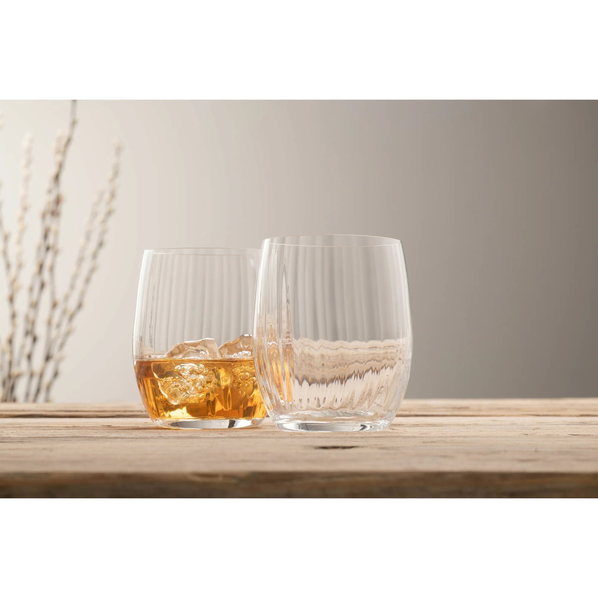 Galway Crystal Erne Tumbler S/2