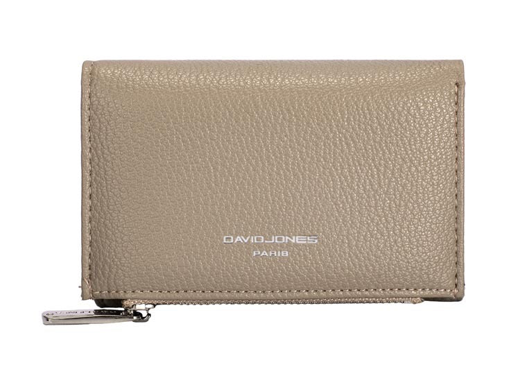 David Jones Purse