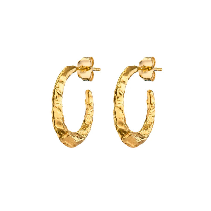 Loinnir Jewellery Torc Hoop Earrings