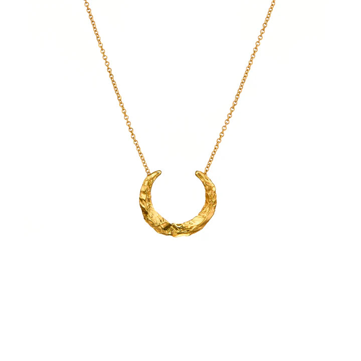 Loinnir Jewellery Torc Necklace