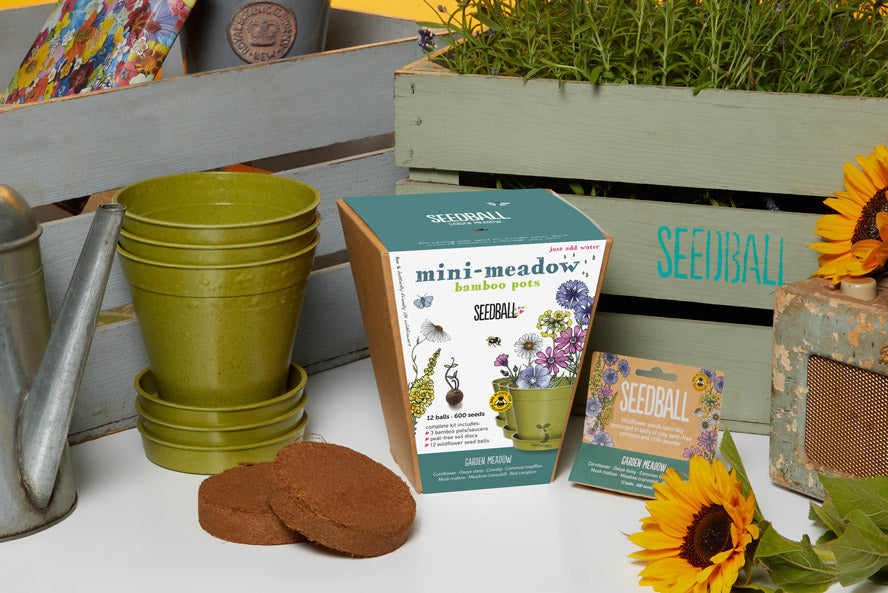 Seadball Mini Meadow Bamboo Pots - Butterfly Mix