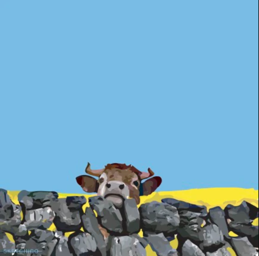 Sketchico Lucy the Cow , 8x8