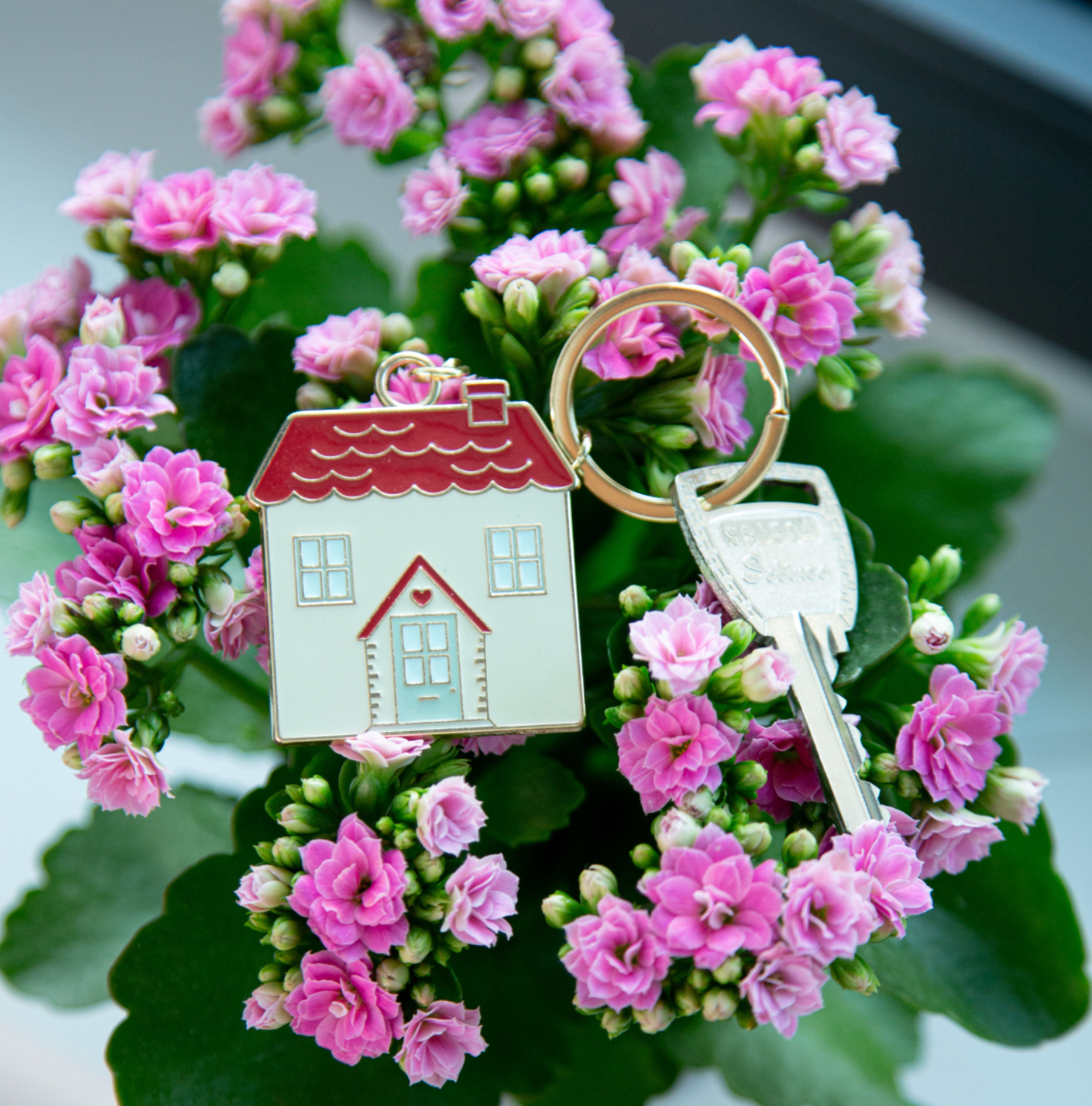 Sass And Belle House Enamel Keyring