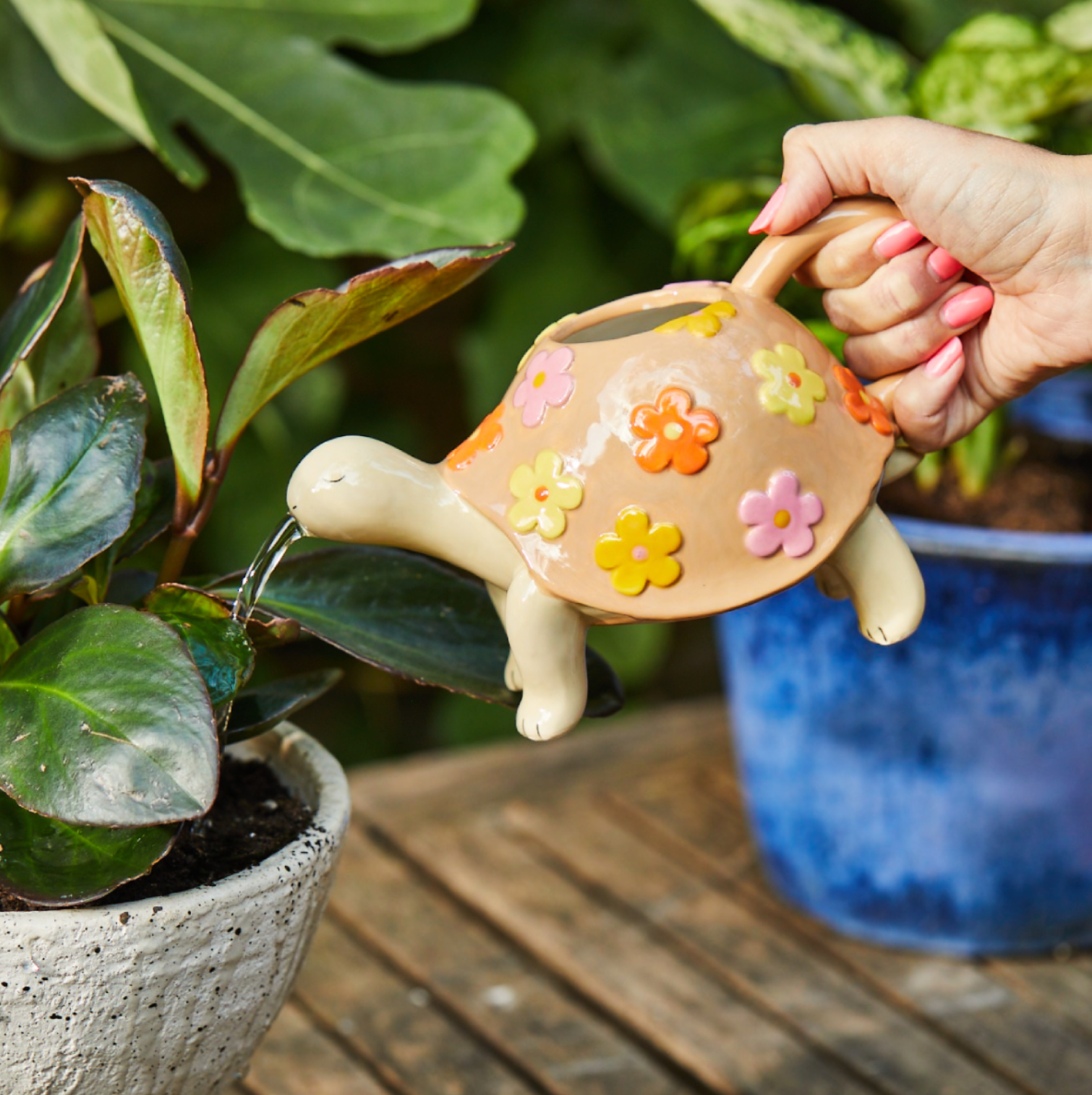 Sass And Belle Tortoise Watering Can