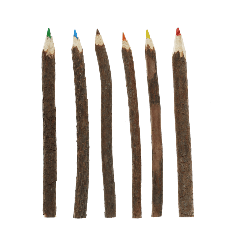 Rex London Twig Colouring Pencils