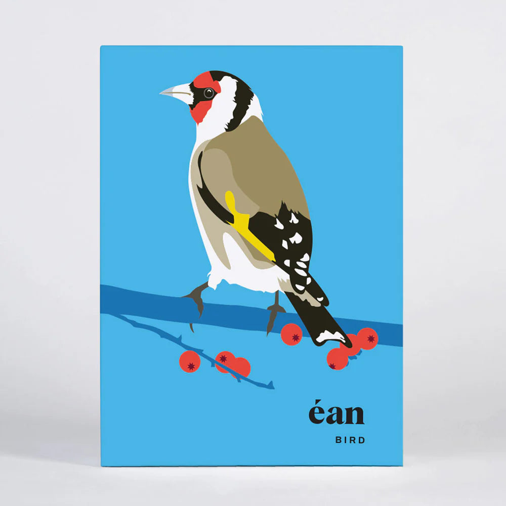 Pawpear Éan / Bird Greeting Card