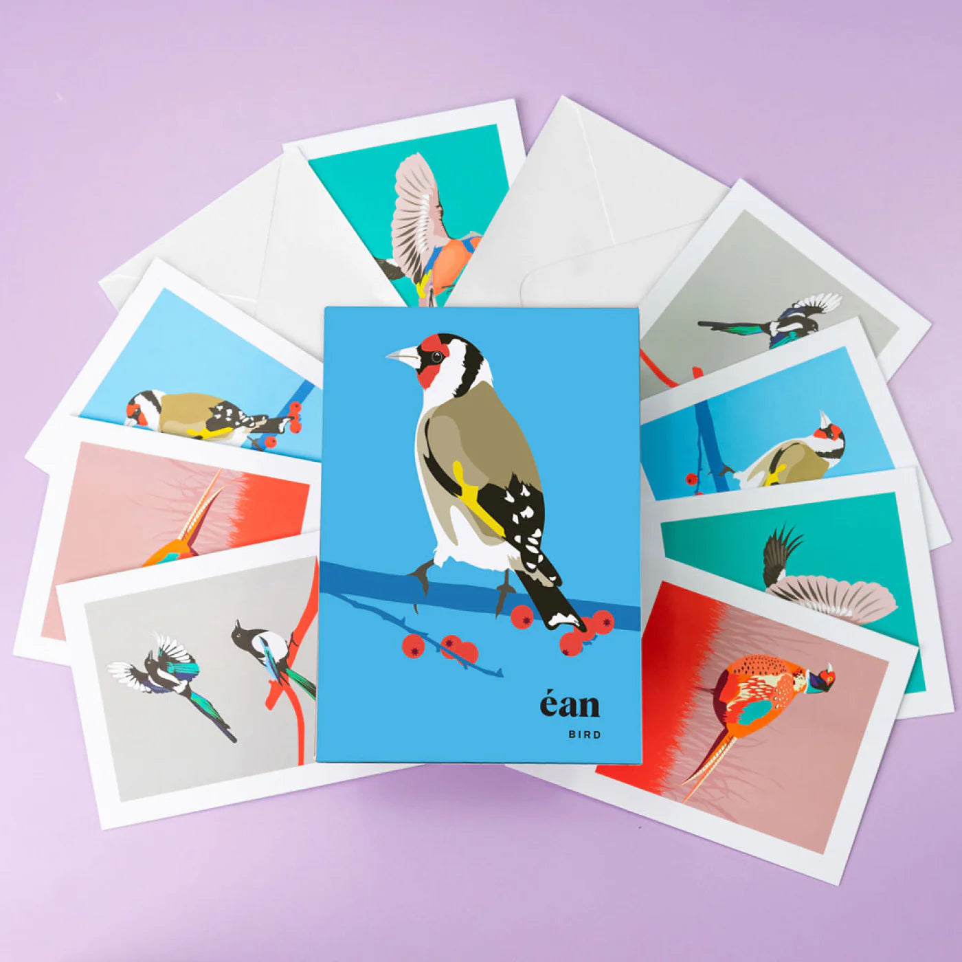 Pawpear Éan / Bird Greeting Card