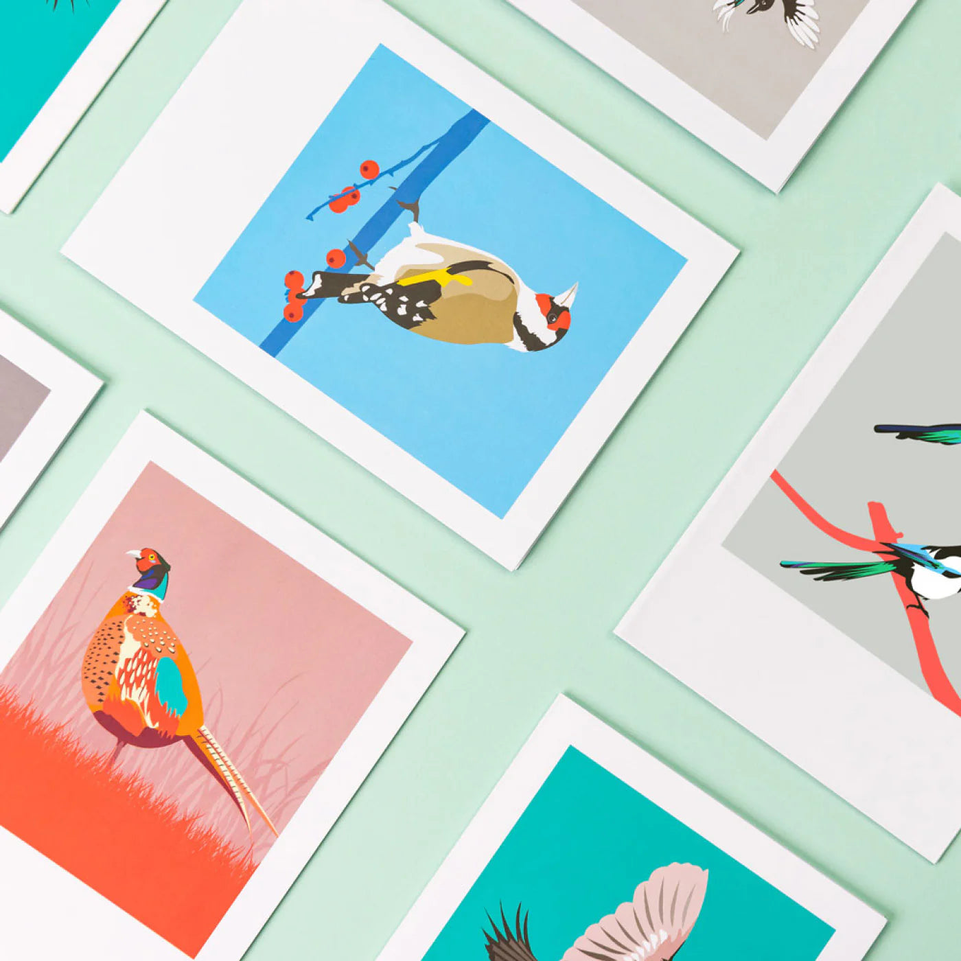 Pawpear Éan / Bird Greeting Card