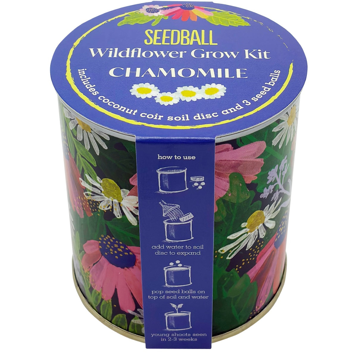 Seedball Wildflower Grow Kit