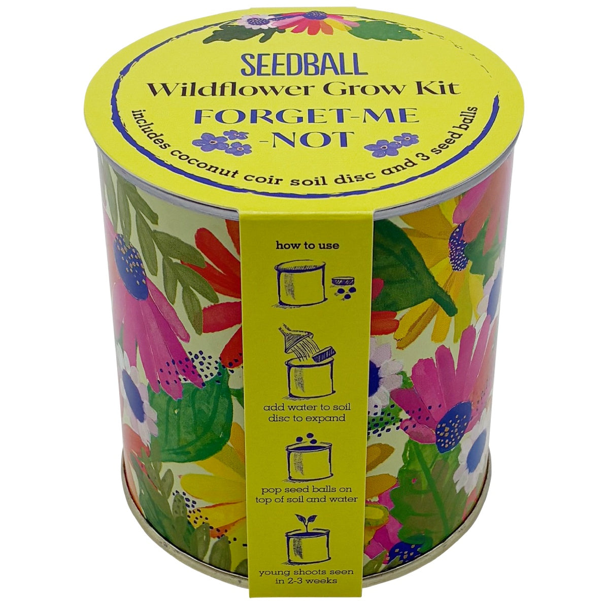 Seedball Wildflower Grow Kit