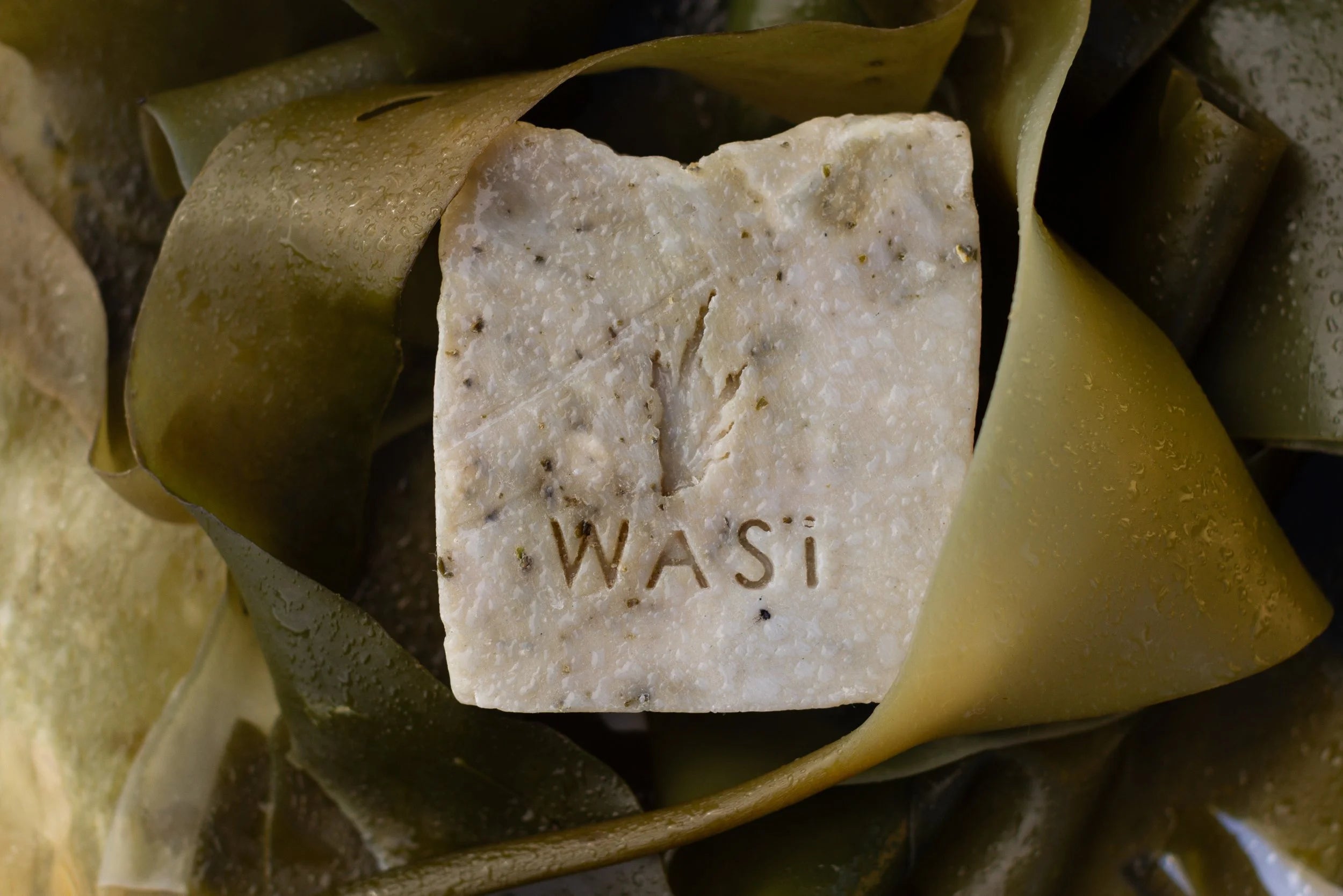 WASI Handmade Seaweed Soap