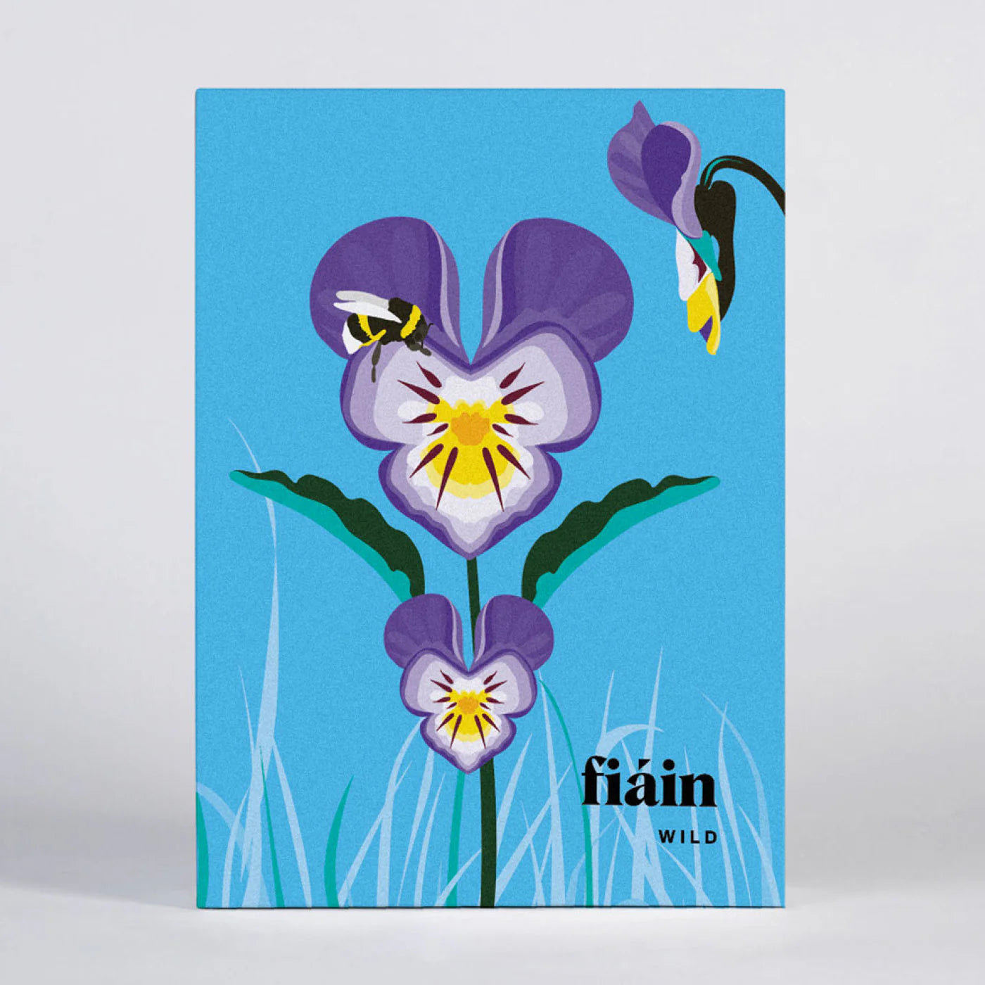 Pawpear Fiáin Greeting Card Box