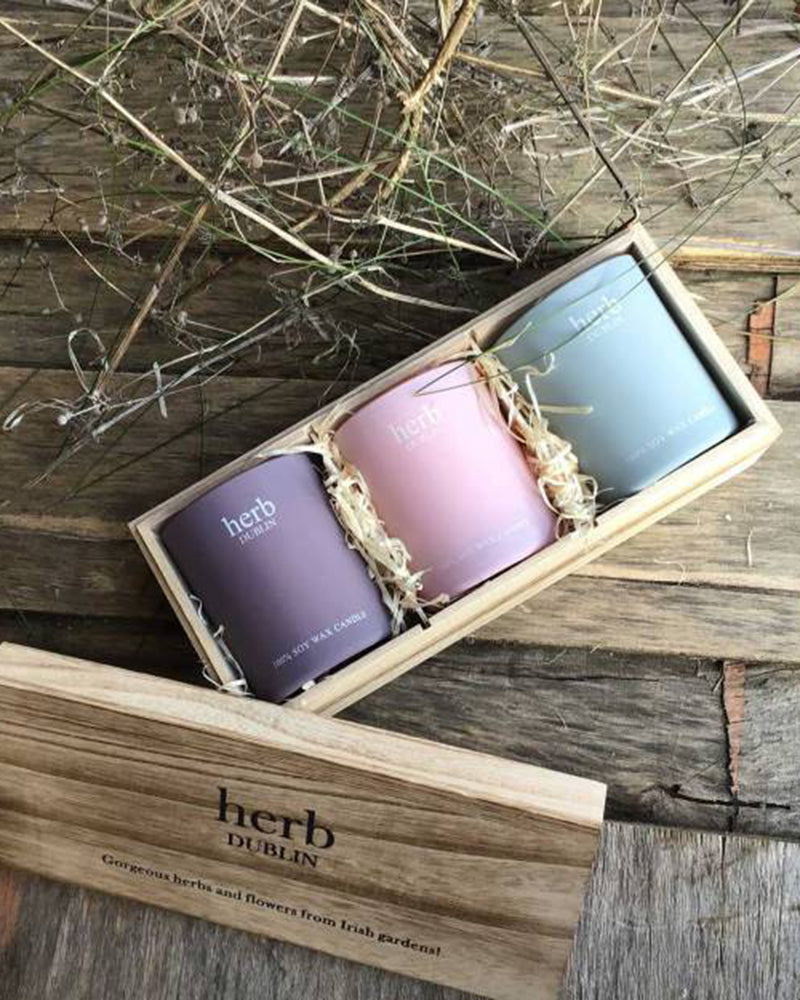 Herb Dublin | Trio Candle Set- Pastel