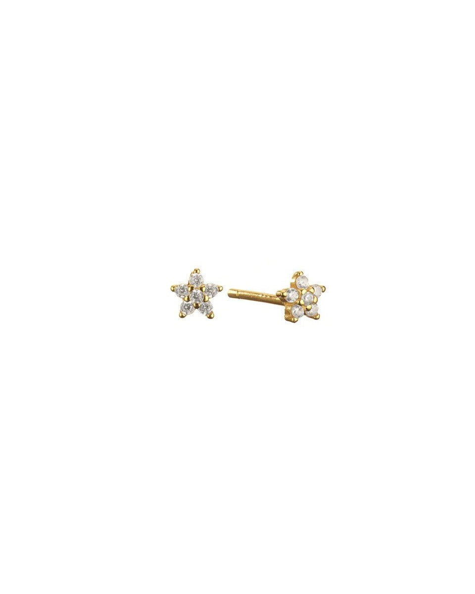 Mary K | Gold Crystal Star Studs