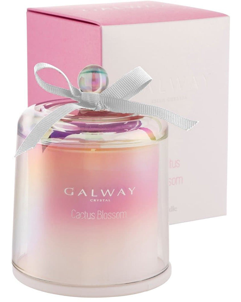 Galway Crystal | Cactus Blossom Bell Jar Candle