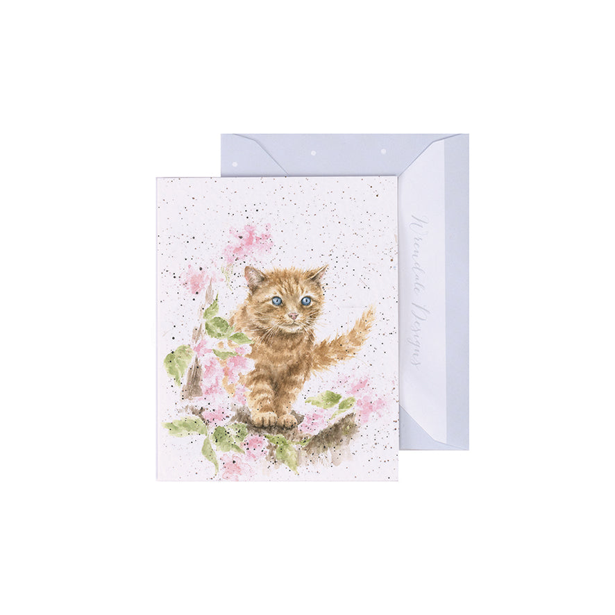 Wrendale | The Marmalade Cat Mini Card