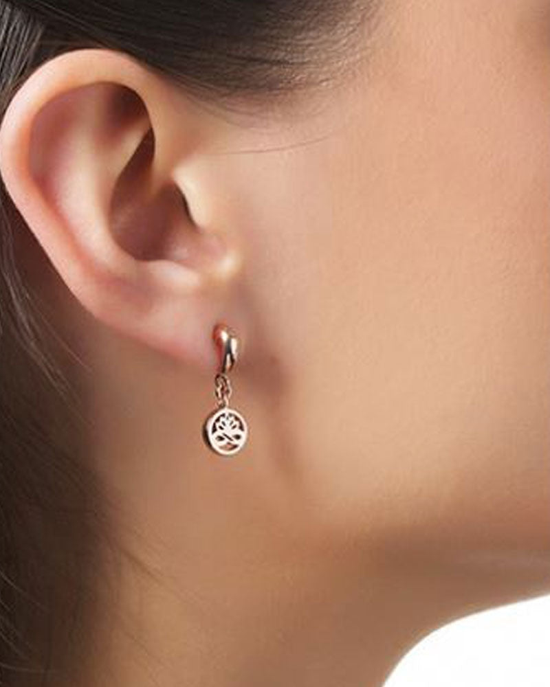 Newbridge | Rose Gold Plated Stud Earrings | Ti:Amo Collection | Clear